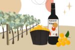 Wine and Chocolate Pairing Ideas for Special Occasions