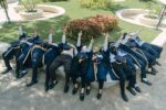 IIM-B Masters in Management: Best Ranking in 2026 Revealed