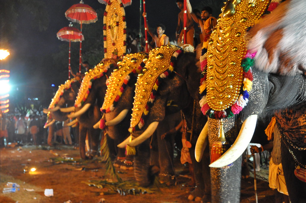 Kerala SET result
